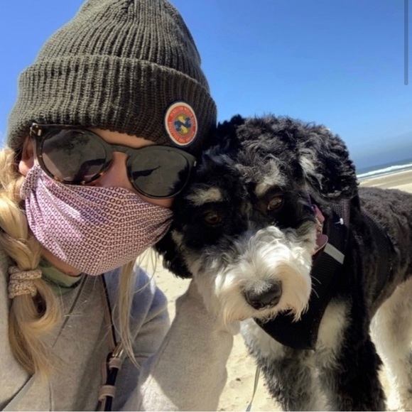 Meet your Posher, Posh Cheeky - Picture 4 of 7